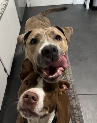 Two babies