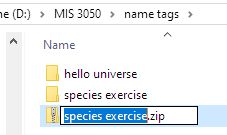 New file
